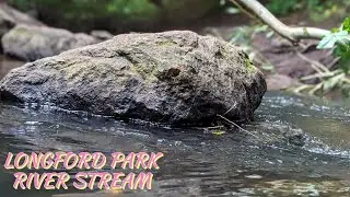 COVENTRY HIDDEN GEM! (LONGFORDPARK)