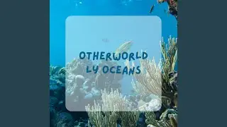Oceanic Odyssey