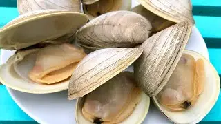Cherrystone Clams #shorts