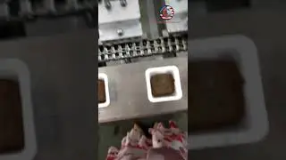 Multi lanes powder cup capsule linear type filling sealing packing production equipment line