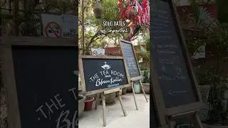 Solo date ❤️ #tearoom #hauzkhas #hauzkhasvillage #viral #shortsvideo #trending