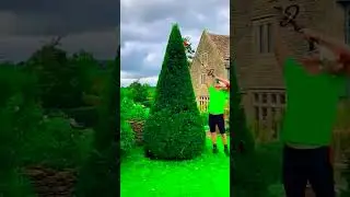 Lawn Trimming Transformation! 🌿✂️#lawncare   #working  #4kflowers #asmrnature