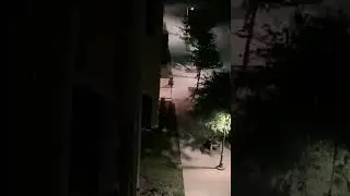 Midnight Stalking -community based agent on the job!