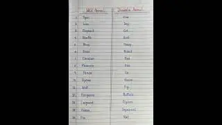 Wild Animal And Domestic Animal Names In English