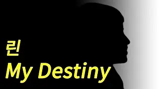 Lyn - My Destiny Cover by No.976