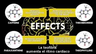The Science of Caffeine  The World's Most Popular Drug   Reactions HDTV Subtitulado