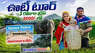 Ooty full tour in Telugu | Mysore Palace | Ooty tourist places | Ooty travel guide | Mysore & Ooty