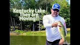 Kentucky Lake On the Move