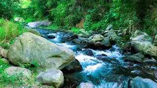 Natural Brook Mellow ASMR for Calming the Mind & Nervous Calm