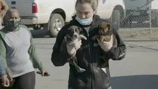 Support the Shelters - Rescue Road: Humane Society of the Delta