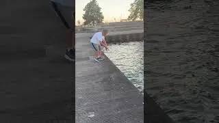 Summer perch fishing in Chicago