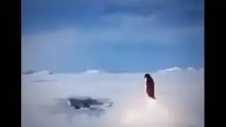 Stupid Idiot gets Obliterated with a Penguin Missile with Calming Music.