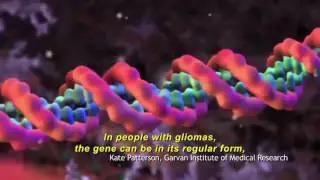 12 - Brain Cancer: IDH gene