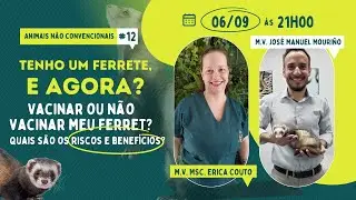 Vacina&ccedil;&atilde;o em Ferrets: Descubra a melhor op&ccedil;&atilde;o!