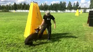 IGP Training - Alkahest Kenzo 08.2020