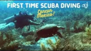 Scuba Diving in Cancun Mexico for BEGINNERS!