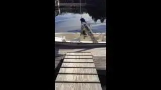Dock and fish cleaning station