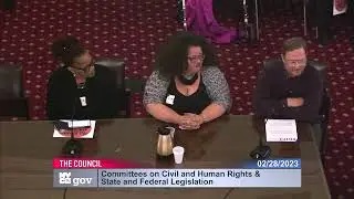 NAAFA & partners testify at NYC Council Hearing to End Height & Weight Discrimination (2/28/23)