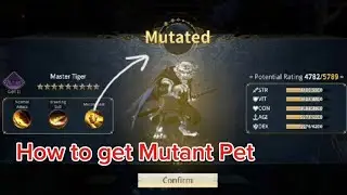 How To Get Mutant Pet Tutorial! Dynasty Legend 2
