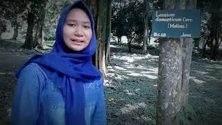 # Observasi Alam di kebun Raya Bogor # Minggu 15 Maret 2019