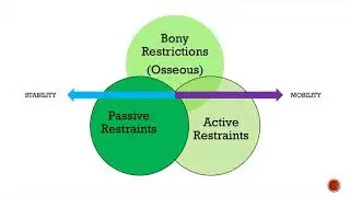 Joint Stability The What, The Why and The How
