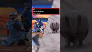 Seiya Suzuki vs. an Armadillo. Seiya is on the left.