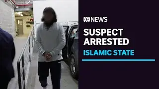 Sydney man arrested for allegedly supporting Islamic State fronts Parramatta court | ABC News