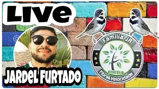 LIVE, Jardel Furtado, criatorio JR, Tudo sobre Manejo com filhotes de coleiro!