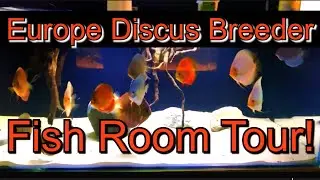 Fish Room Tour of Europe Discus Breeder - Steiner!!! #DiscusLove #Discus #FishRoomTour