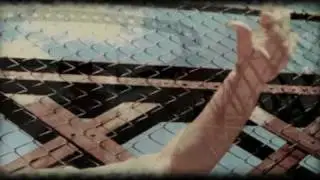 Popsy Brown Paw Music Video