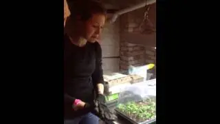 Spring gardening tips