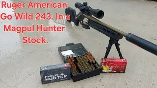 Ruger Go Wild 243 Win.Magpul Hunter Stock Accuracy Test Hornady Ammo And Reloads.