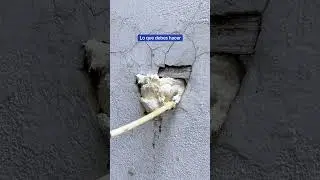 Evita esto si vas a utilizar #FesterEspumaExpansiva, as&iacute; aseguras un sellado duradero.