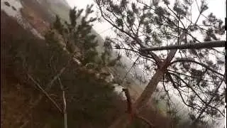 Mathews mission menace deer hunt