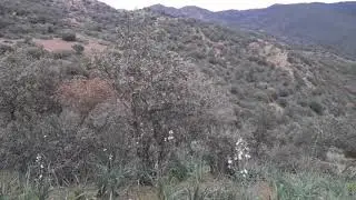 Tiddas beaux paysages  تيداس منبع الطبيعة