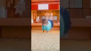 OIIA Cat x Steve's Lava Chicken #minecraft #uiacat