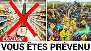 &Eacute;vitez &agrave; Tout Prix ces 9 Marques de Vin (et celles qui valent vraiment la d&eacute;gustation)
