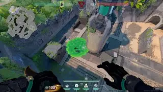 Viper Breeze Postplant molly and smoke lineups