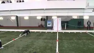 Dez Hinds - NFL Regional Combine Wide Receiver / Cornerback
