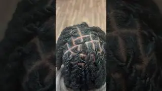 This retwist + two-strand twist combo never misses 💯 #locretwist #twostrandtwist #healthylocs