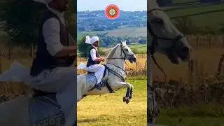 Tent Pegging In UK 🇬🇧 #equestrian #gujarkhan #horserider #youtubeshorts #nezabazi #pothwar #shorts