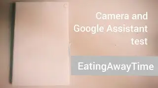 The Working Paper Phone 2: Google Assistant and Camera Test