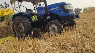 SONALIKA  sikandar 42 RX performance in G I L L paddy thresher 👌👌👌