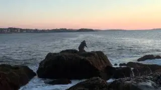 Gloucester MA 35