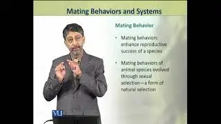 Mating Behaviors and Systems | Animal Physiology and Behavior (Theory) | ZOO502T_Topic255