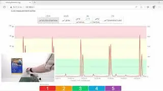 Br&ouml;ring Electronic Egg - Repeatability Test