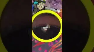 ?#witchtok #divination #askawitch #witchesoftiktok #yesorno #babywitch