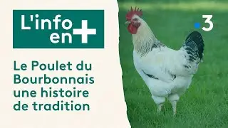 L'info en plus - Le Poulet du Bourbonnais une histoire de tradition