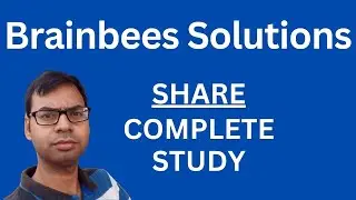 brainbees solutions share - complete study