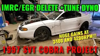 DYNO RESULTS - IMRC and EGR Delete + Tune | 97 Mustang Cobra